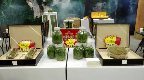 今明去温州林产品展可逛吃逛玩 海量图