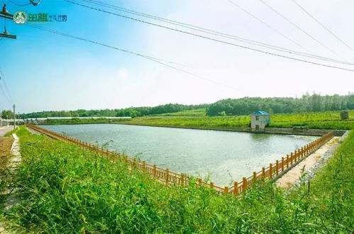 诗画乡村游收藏 大连市文旅局推出10条精品旅游线路之庄河篇