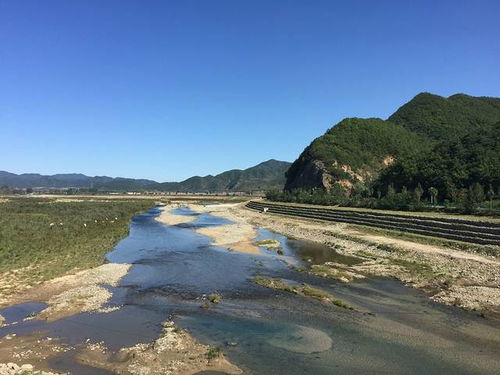 庄河桂云花与天门山 近郊探幽,尽享自然之美