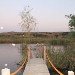 芦海荷畔 - 庄河市采摘与农家乐体验的好去处