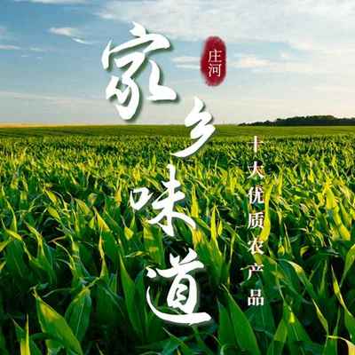 大连食用盐的品质典范 庄河盐场与大连制盐厂