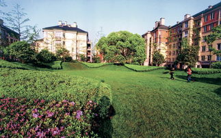 绿城建发·沁园 一座新园，沁润杭州庄河诗意生活