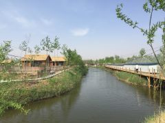 庄河芦海荷畔采摘与农家乐-大众点评信息汇总